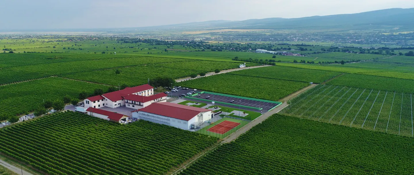 Wines of Romania - Wine Tourism - Domeniile Panciu Winery